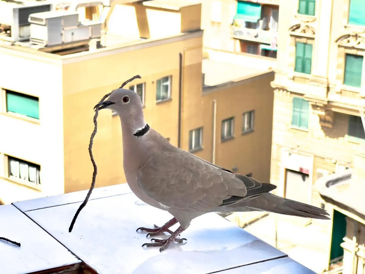 Home Sweet Home Nel Cuore Di Genova Apartment